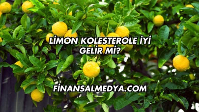 Limon Kolesterole İyi Gelir mi?