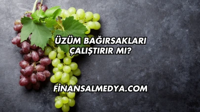 Üzüm Bağırsakları Çalıştırır mı?
