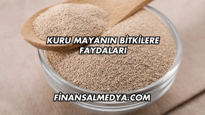 Kuru Mayanın Bitkilere Faydaları