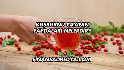 Kuşburnu Çayının Faydaları Nelerdir?