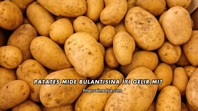 Patates Mide Bulantısına İyi Gelir mi?