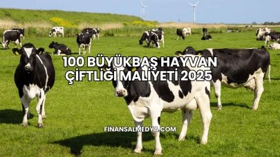 100 Büyükbaş Hayvan Çiftliği Maliyeti 2025
