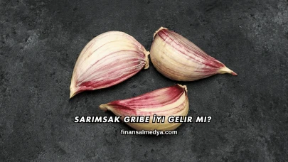 Sarımsak Gribe İyi Gelir mi?