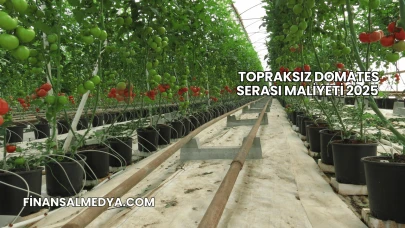 Topraksız Domates Serası Maliyeti 2025