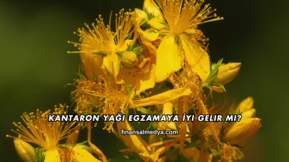 Kantaron Yağı Egzamaya İyi Gelir mi?