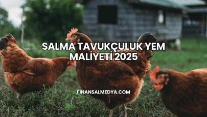 Salma Tavukçuluk Yem Maliyeti 2025