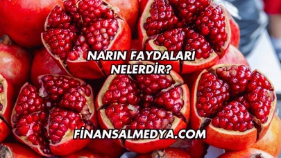 Narın Faydaları Nelerdir?