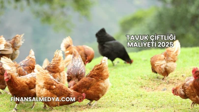 Tavuk Çiftliği Maliyeti 2025