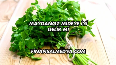Maydanoz Mideye İyi Gelir mi