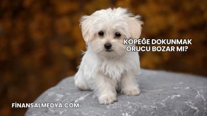 Köpeğe Dokunmak Orucu Bozar mı?