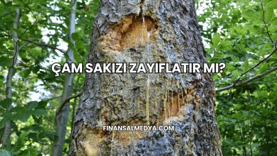 Çam Sakızı Zayıflatır mı?