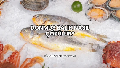 Donmuş Balık Nasıl Çözülür?