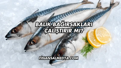 Balık Bağırsakları Çalıştırır mı?