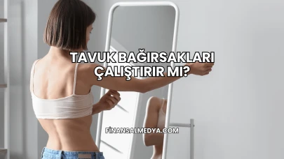 Tavuk Bağırsakları Çalıştırır mı?