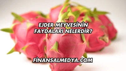 Ejder Meyvesinin Faydaları Nelerdir?