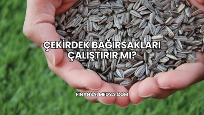 Çekirdek Bağırsakları Çalıştırır mı?