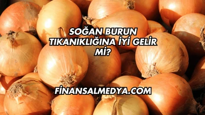 Soğan Burun Tıkanıklığına İyi Gelir mi?