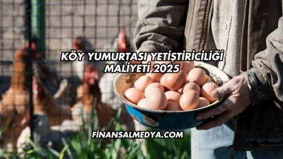 Köy Yumurtası Yetiştiriciliği Maliyeti 2025