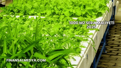 1000 m2 Sera Maliyeti 2025