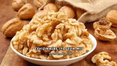 Ceviz Kalbe İyi Gelir mi?