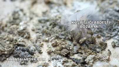 Kuş Pisliği Abdesti Bozar mı?