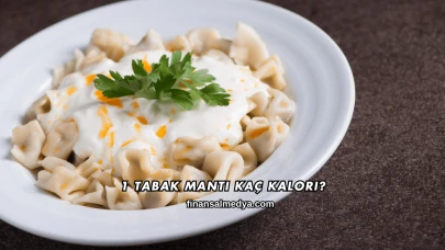 1 Tabak Mantı Kaç Kalori?