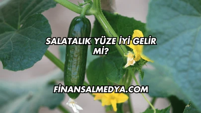 Salatalık Yüze İyi Gelir mi?