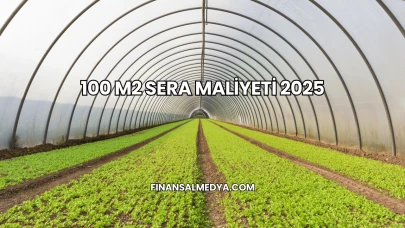 100 M2 Sera Maliyeti 2025
