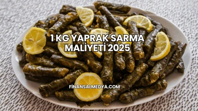 1 Kg Yaprak Sarma Maliyeti 2025