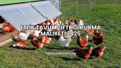 Etlik Tavuk Çiftliği Kurma Maliyeti 2025