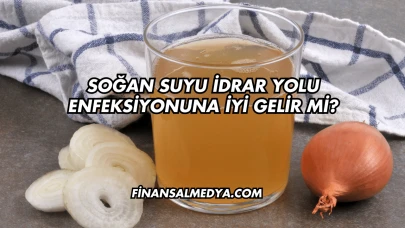 Soğan Suyu İdrar Yolu Enfeksiyonuna İyi Gelir mi?