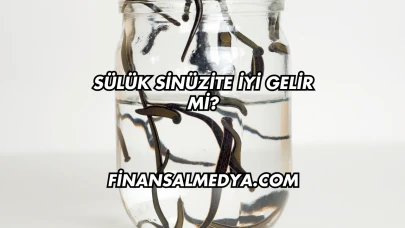 Sülük Sinüzite İyi Gelir mi?