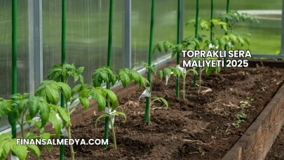 Topraklı Sera Maliyeti 2025