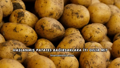 Haşlanmış Patates Bağırsaklara İyi Gelir mi?