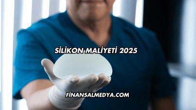 Silikon Maliyeti 2025
