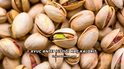 1 Avuç Antep Fıstığı Kaç Kalori?
