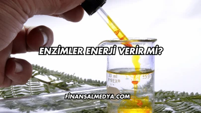 Enzimler Enerji Verir mi?