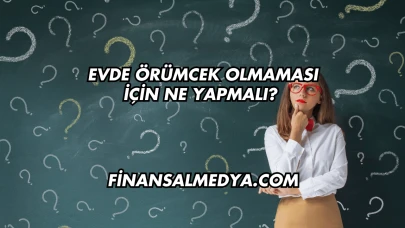Evde Örümcek Olmaması İçin Ne Yapmalı?