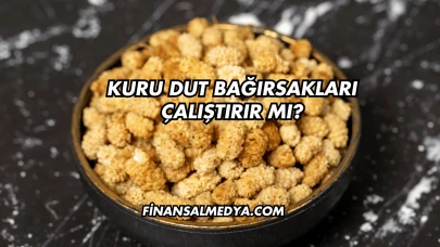 Kuru Dut Bağırsakları Çalıştırır mı?