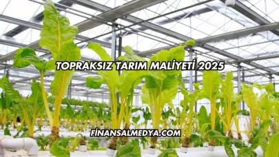 Topraksız Tarım Maliyeti 2025