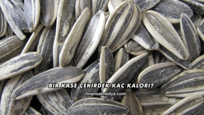 Bir Kase Çekirdek Kaç Kalori?