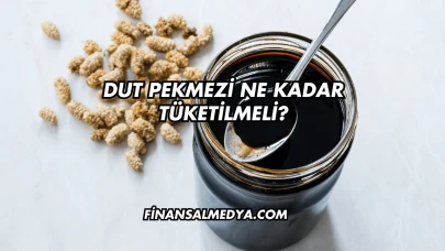 Dut Pekmezi Ne Kadar Tüketilmeli?