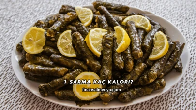 1 Sarma Kaç Kalori?