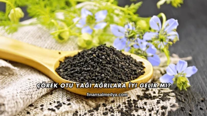 Çörek Otu Yağı Ağrılara İyi Gelir mi?