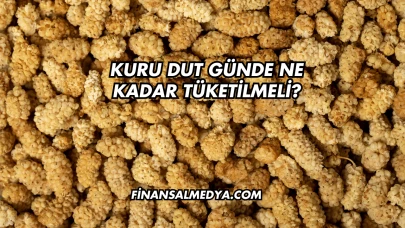 Kuru Dut Günde Ne Kadar Tüketilmeli?