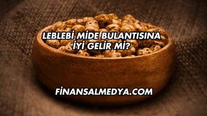 Leblebi Mide Bulantısına İyi Gelir mi?
