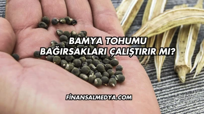Bamya Tohumu Bağırsakları Çalıştırır mı?