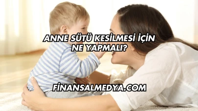 Anne Sütü Kesilmesi İçin Ne Yapmalı?