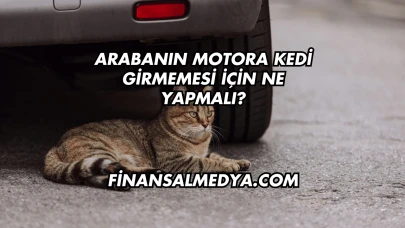 Aramayan Kıza Ne Yapmalı?