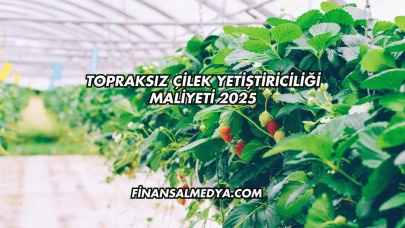 Topraksız Çilek Yetiştiriciliği Maliyeti 2025